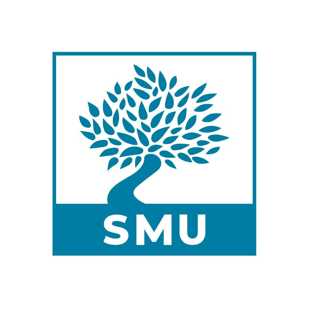 South Mediterranean University